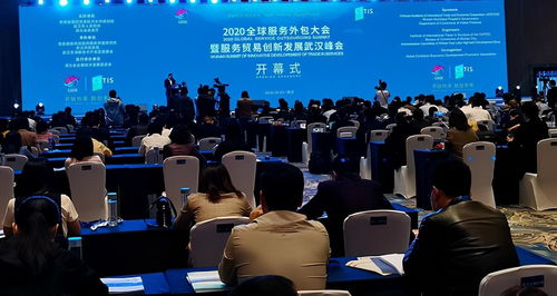 2020全球服务外包大会暨服务贸易创新发展武汉峰会成功举办
